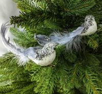 photo_2024-11-06_11-47-52