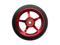 photo_2025-01-30_14-13-31 (2)