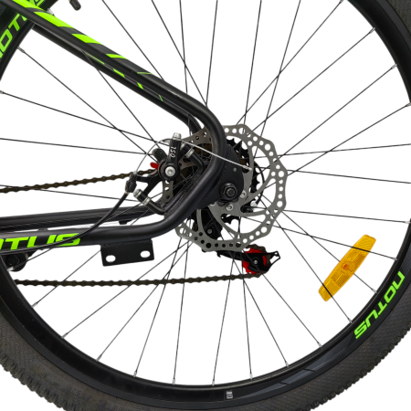 Photoroom-20241024_101220