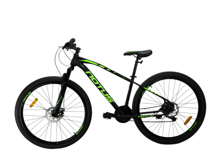 Photoroom-20241024_101302